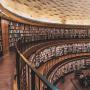 Education for Executives
